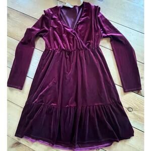 Hesed Women's Velvet Dress. Deep Purple. Size M. V-neck. Holiday. Cocktail.